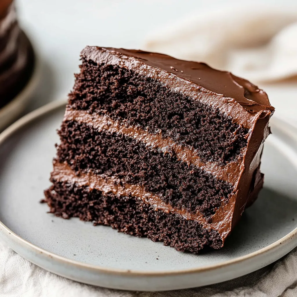 A slice of rich and moist chocolate cake.