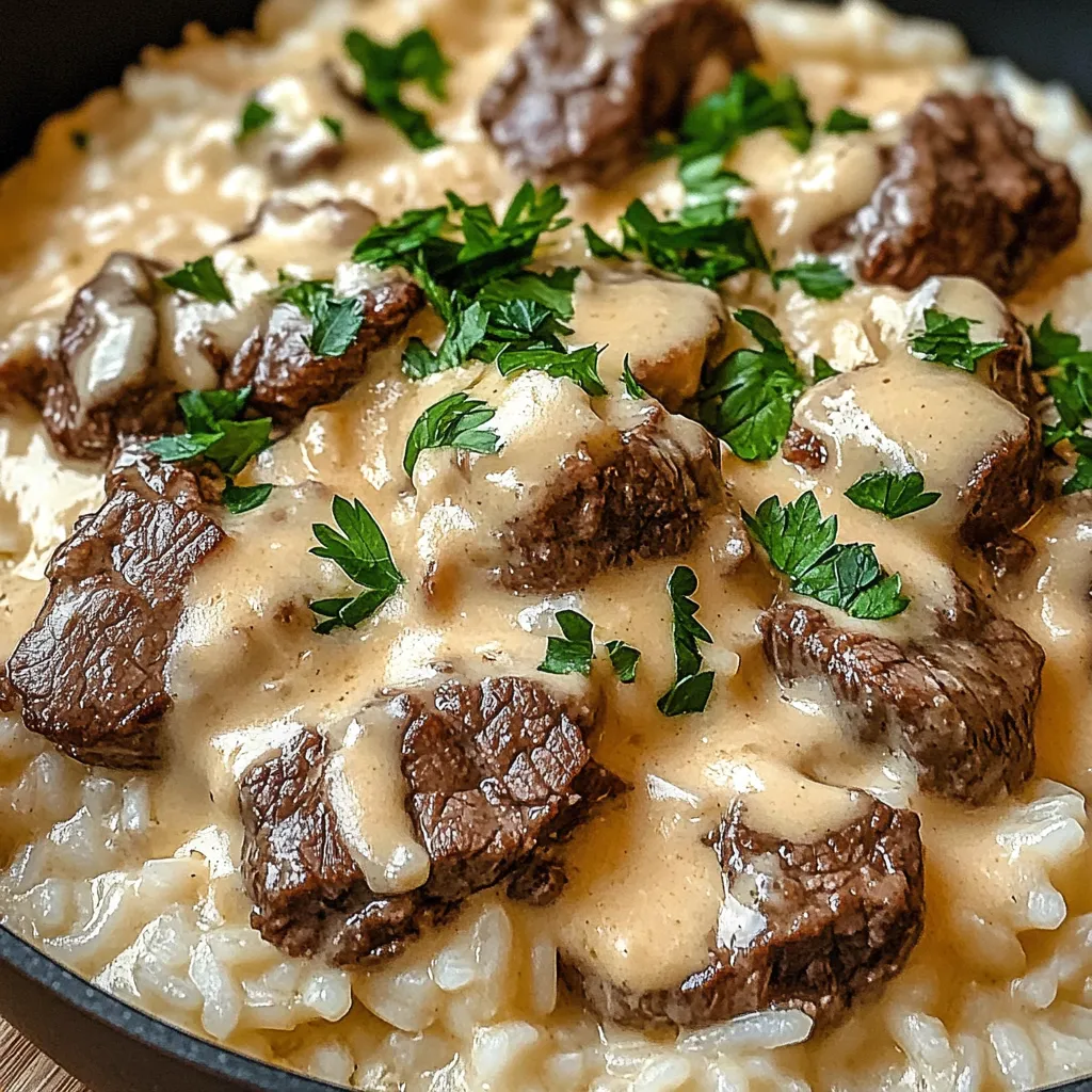 A bowl of steak and queso rice.